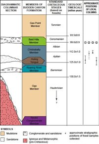 Diagrammatic classification of the members of the Budden Canyon formation