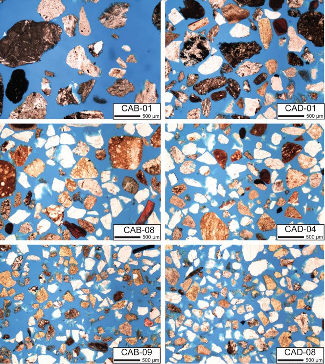 Fig. 3b. Thin sections of beach-dune samples from California.