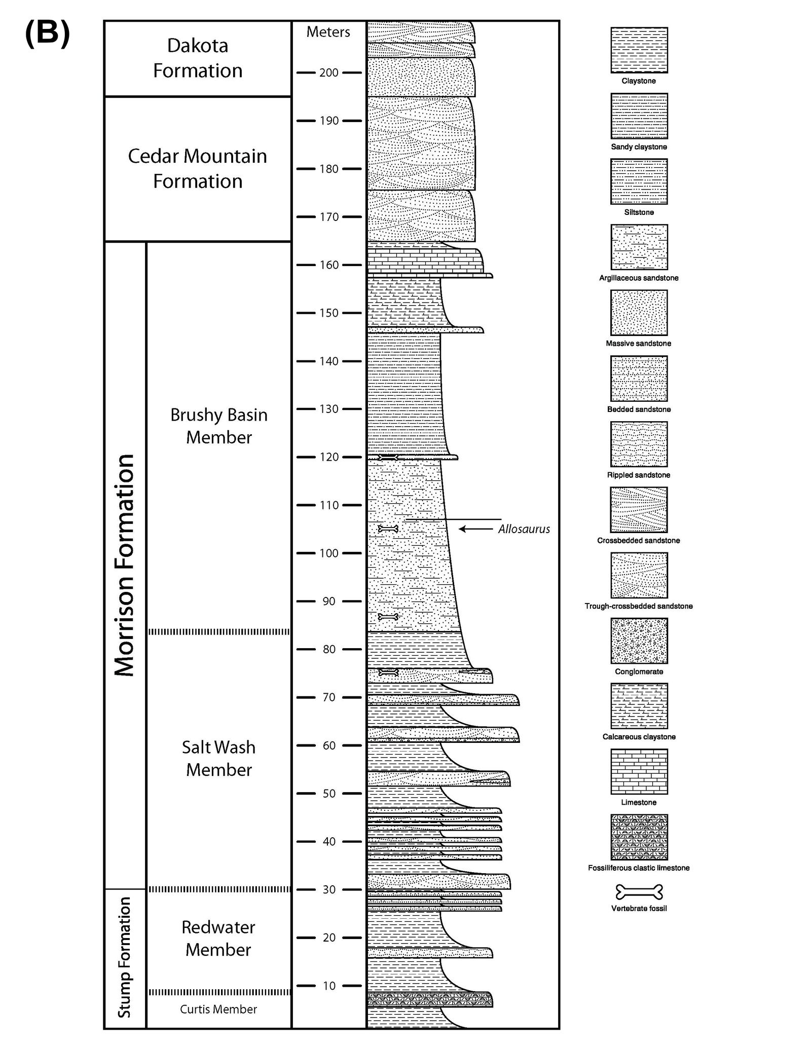 Figure 1b