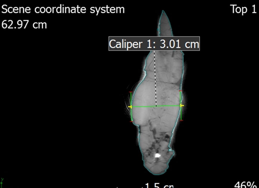 Figure 7