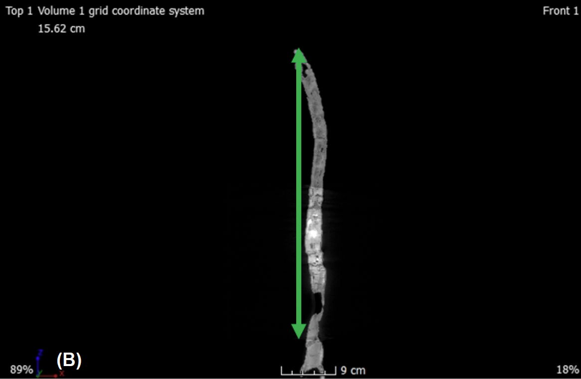 Figure 13b