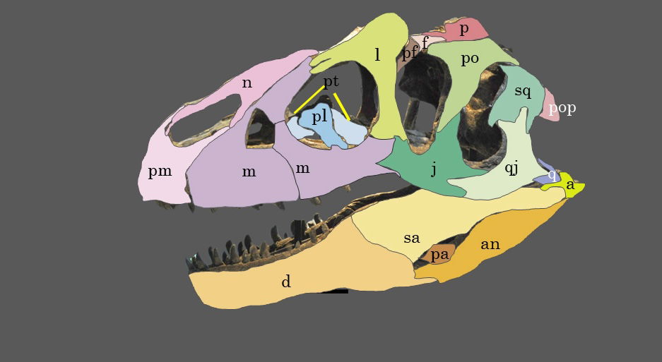 Figure 15