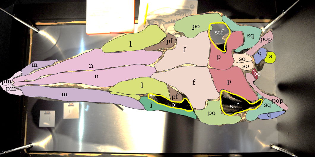 Figure 16