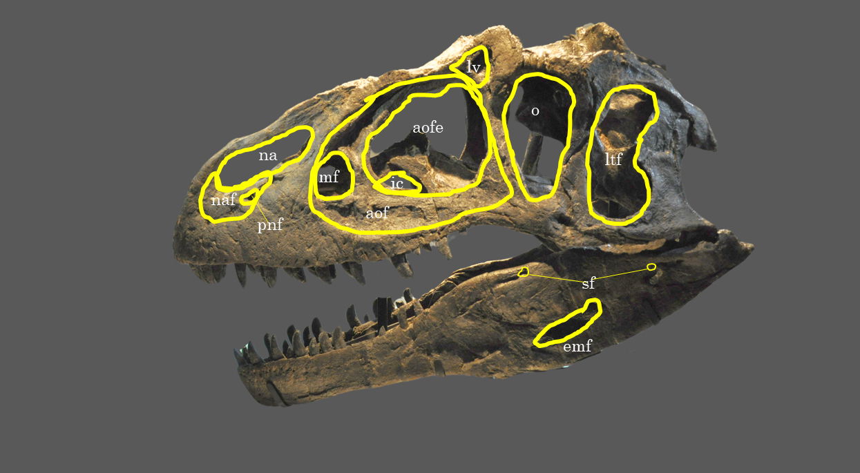 Figure 17