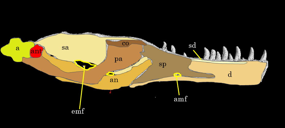 Figure 18