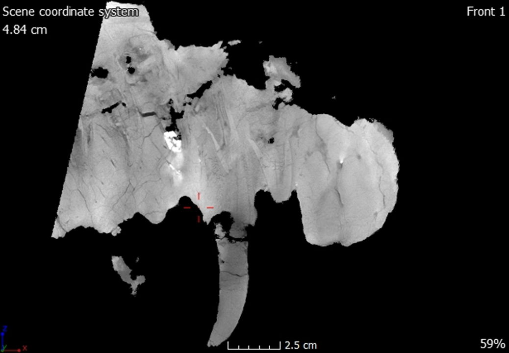 Figure 23