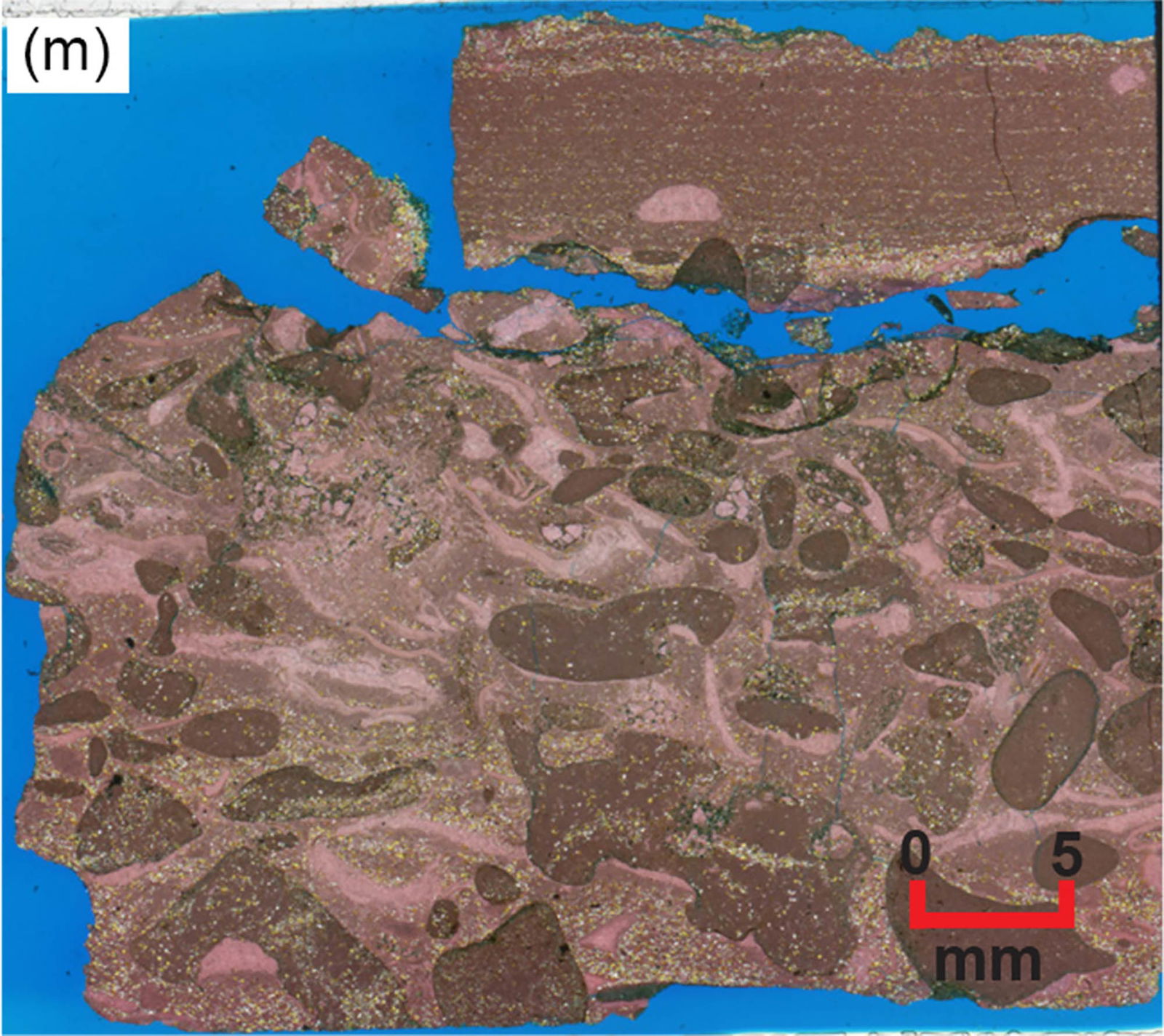 Figure 23m