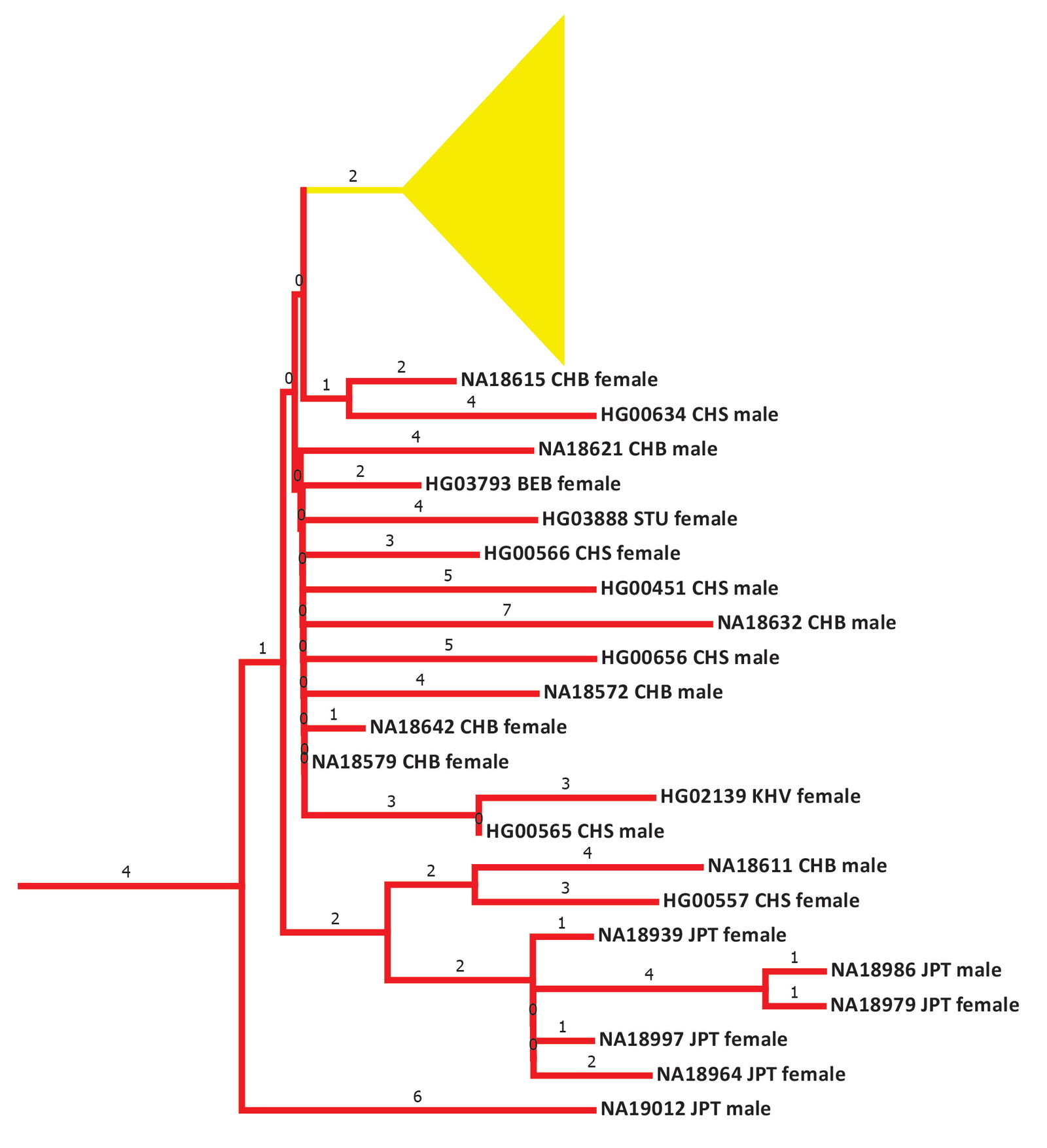 Figure 24