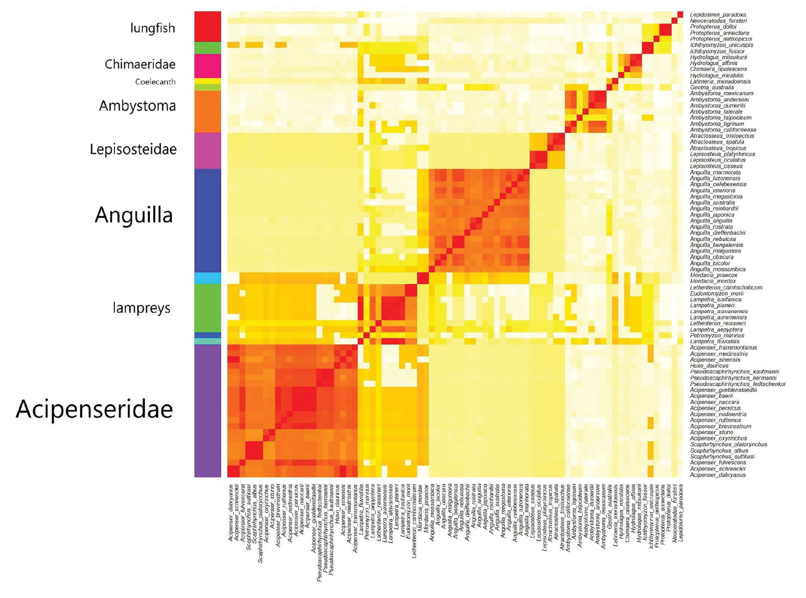 Heatmap