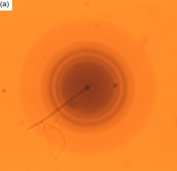Figure 6a