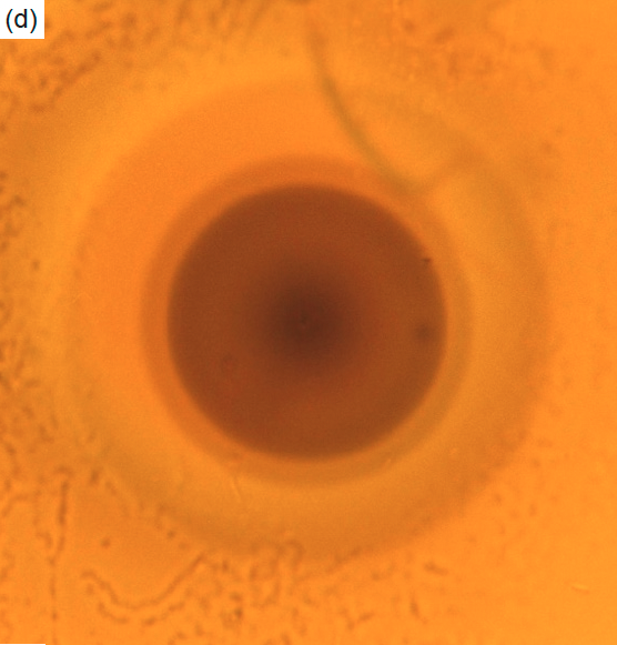 Figure 6d