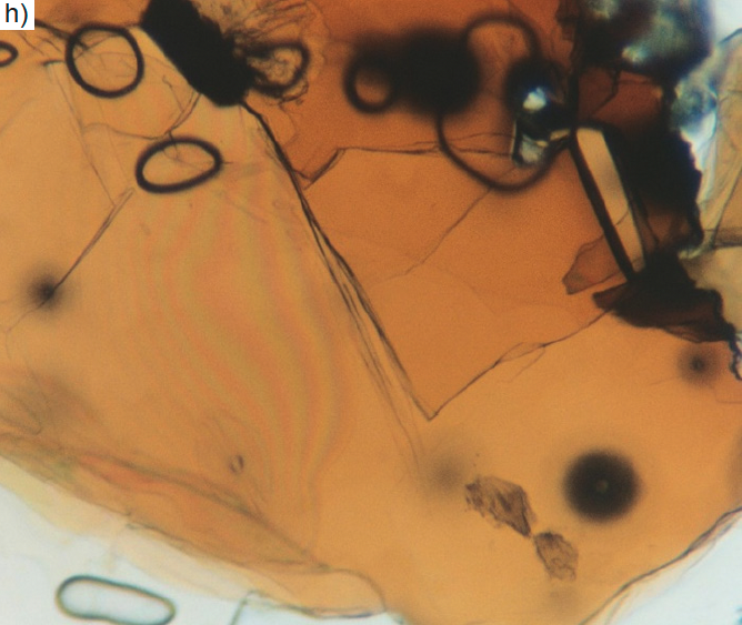 Figure 6h