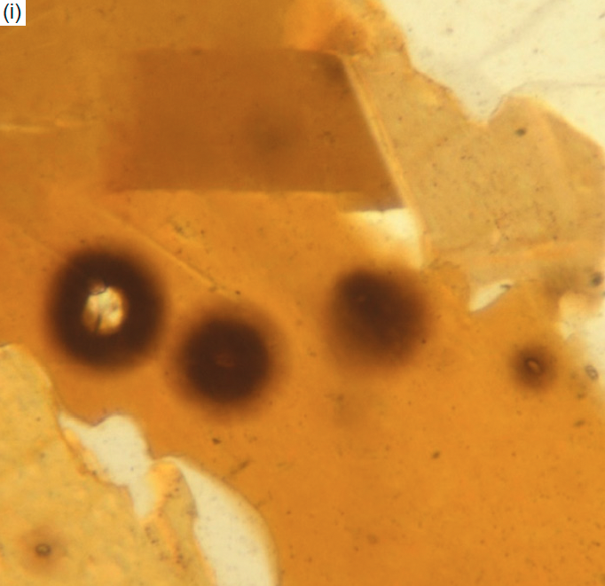 Figure 6i
