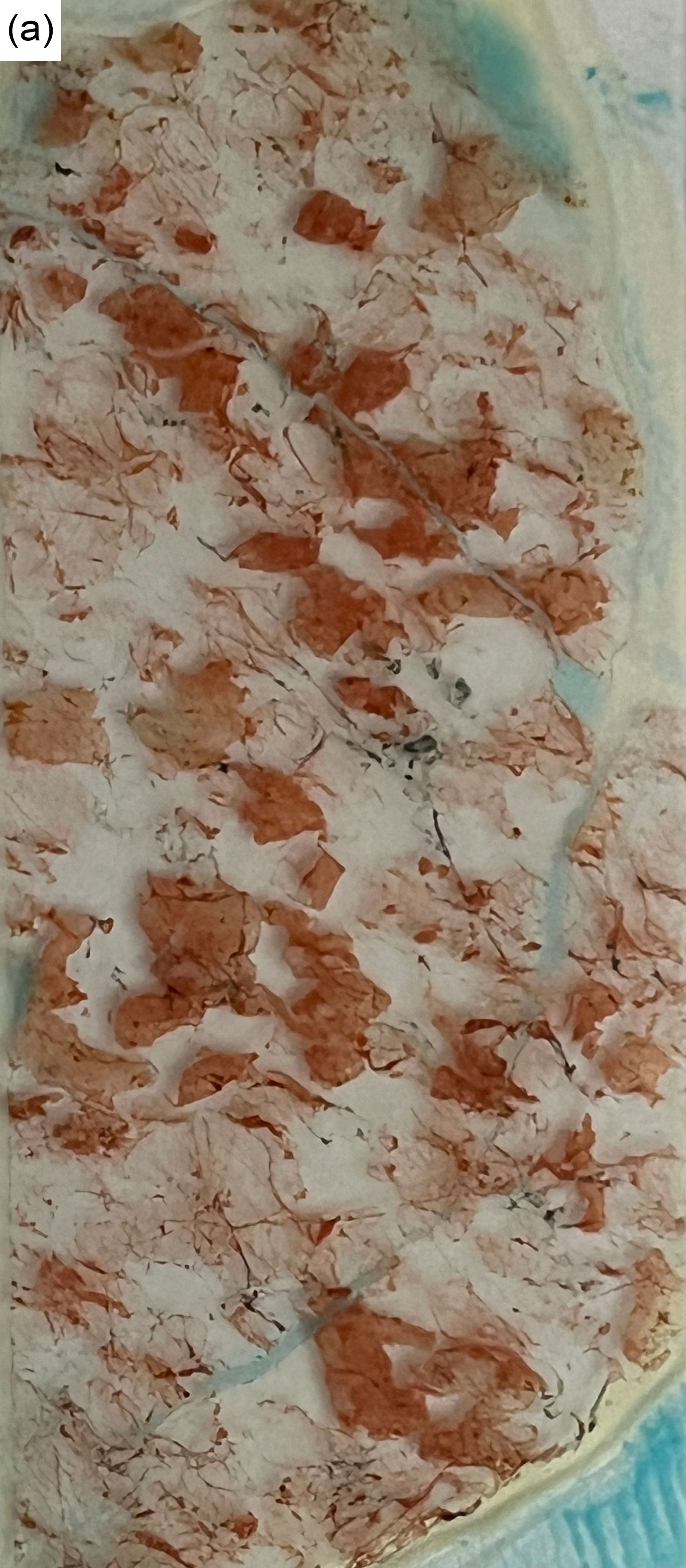 Figure 8a