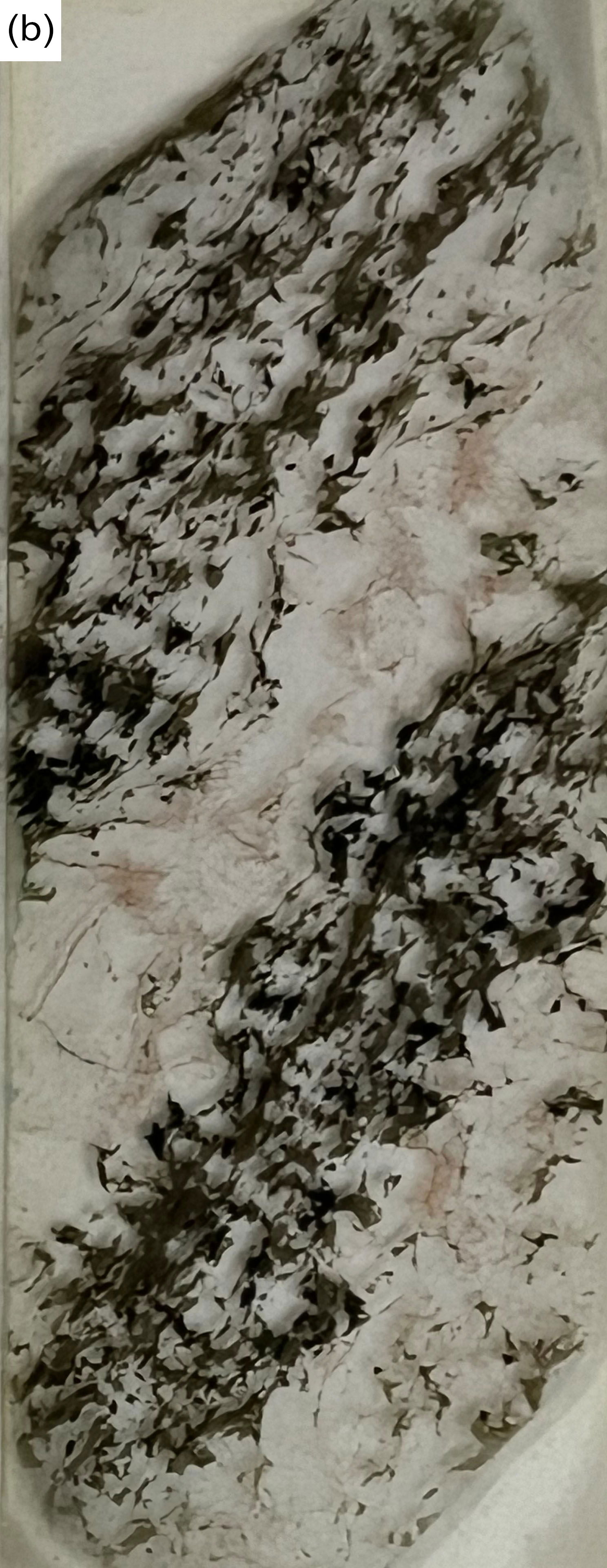 Figure 8b