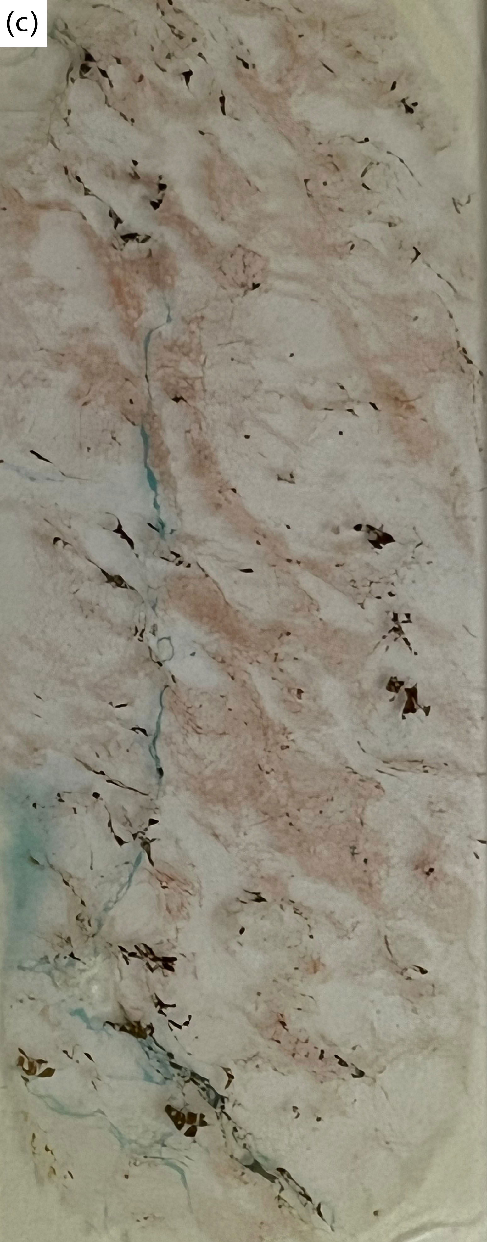 Figure 8c