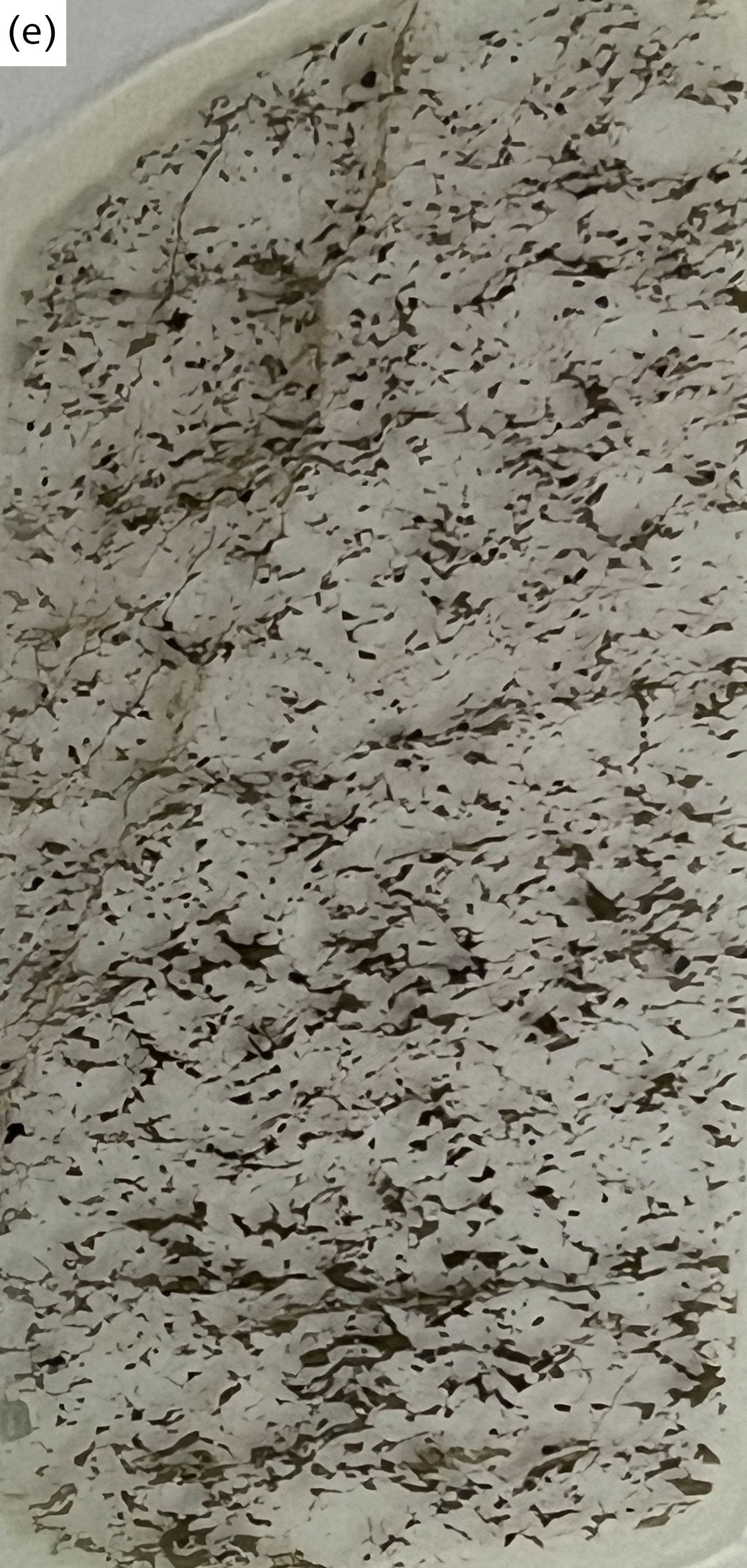 Figure 8e