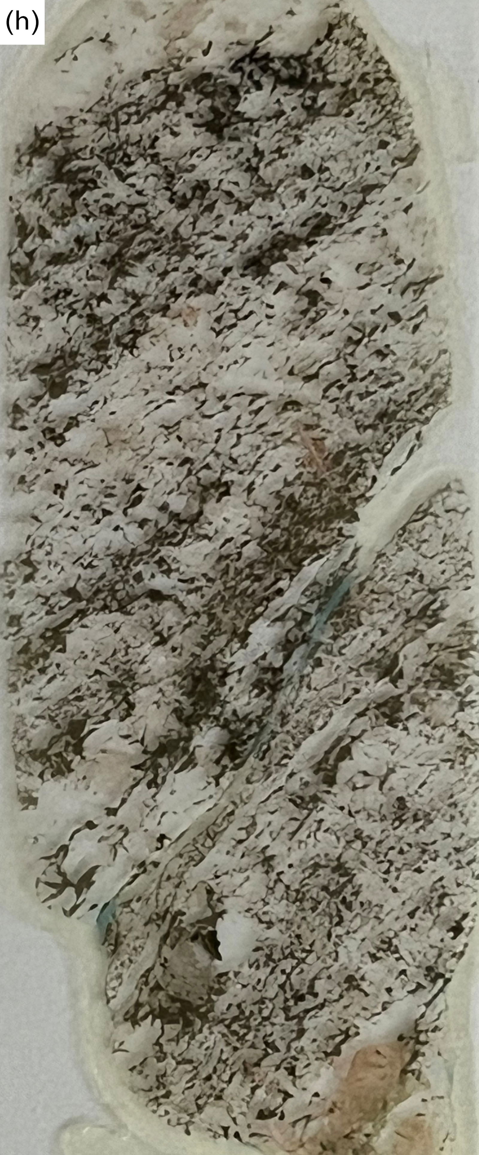 Figure 8h