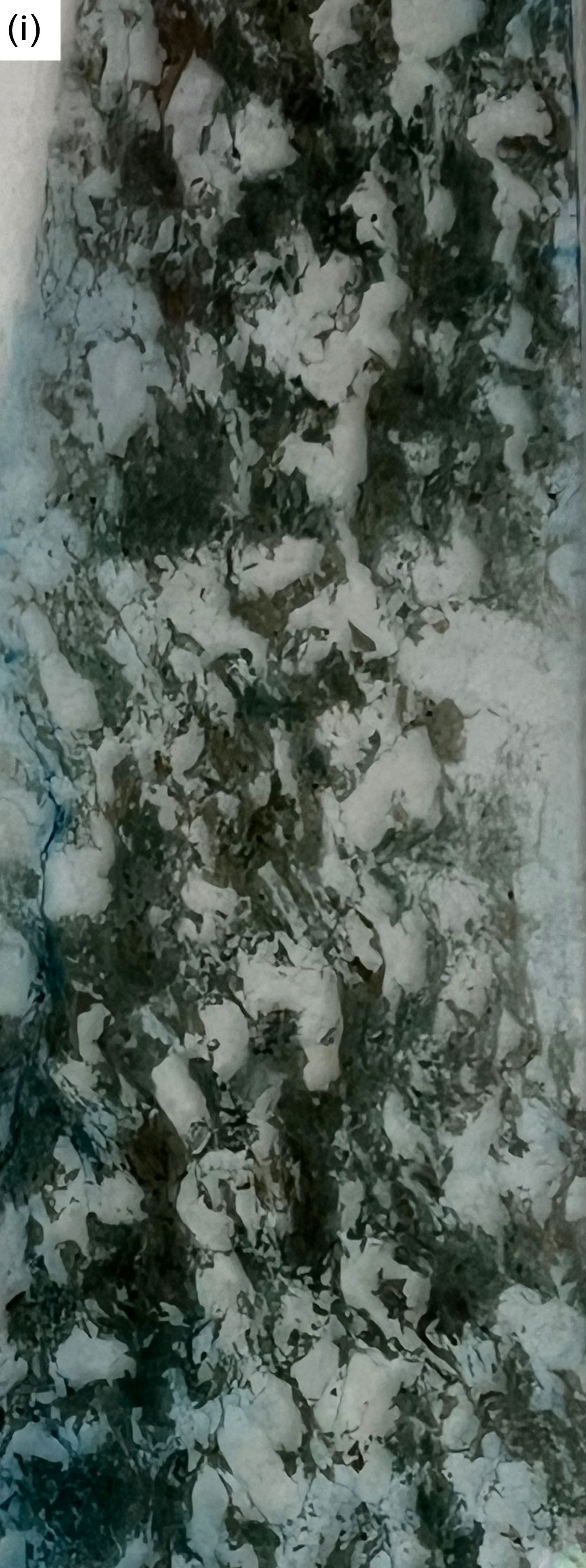 Figure 8i