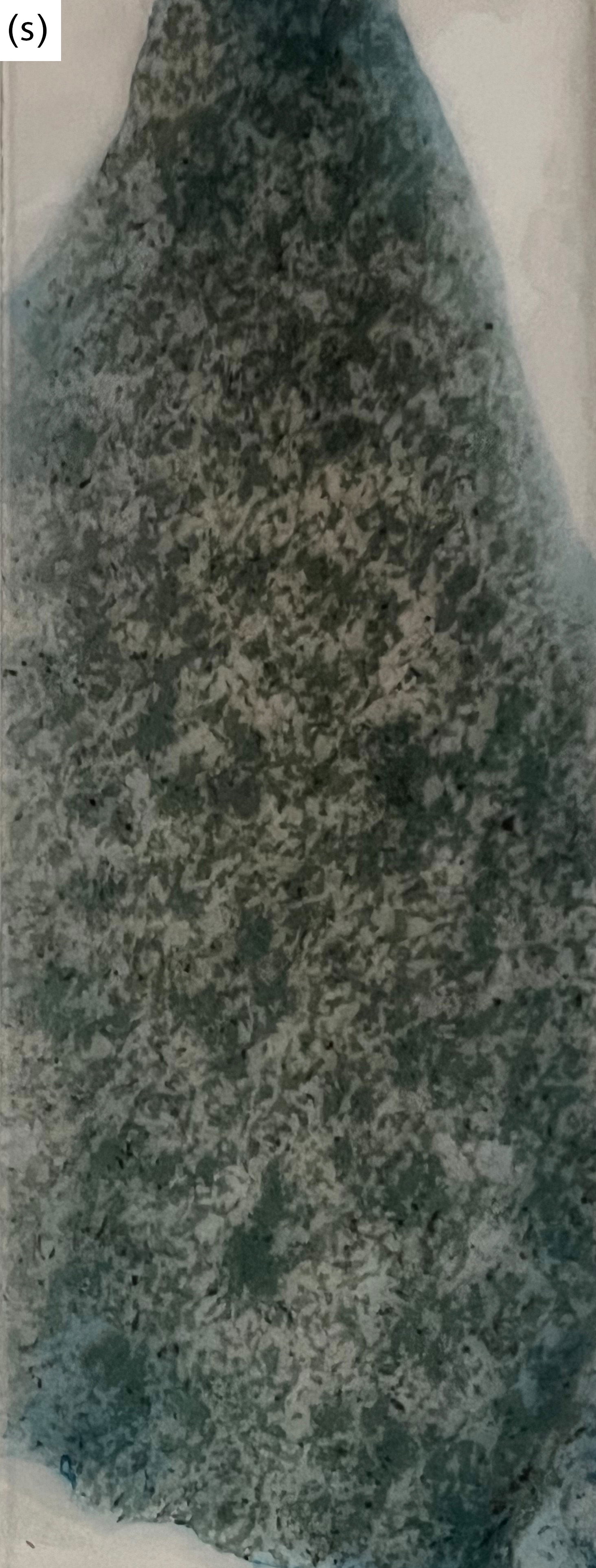 Figure 8s