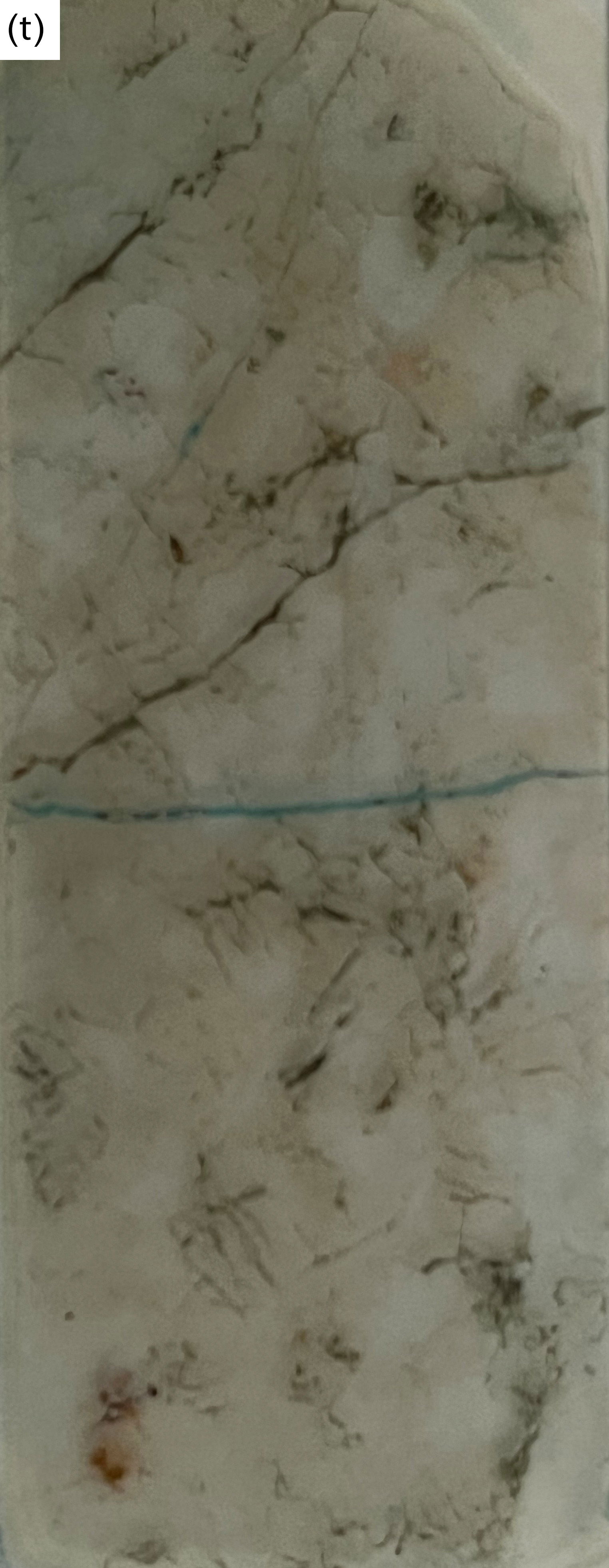 Figure 8t
