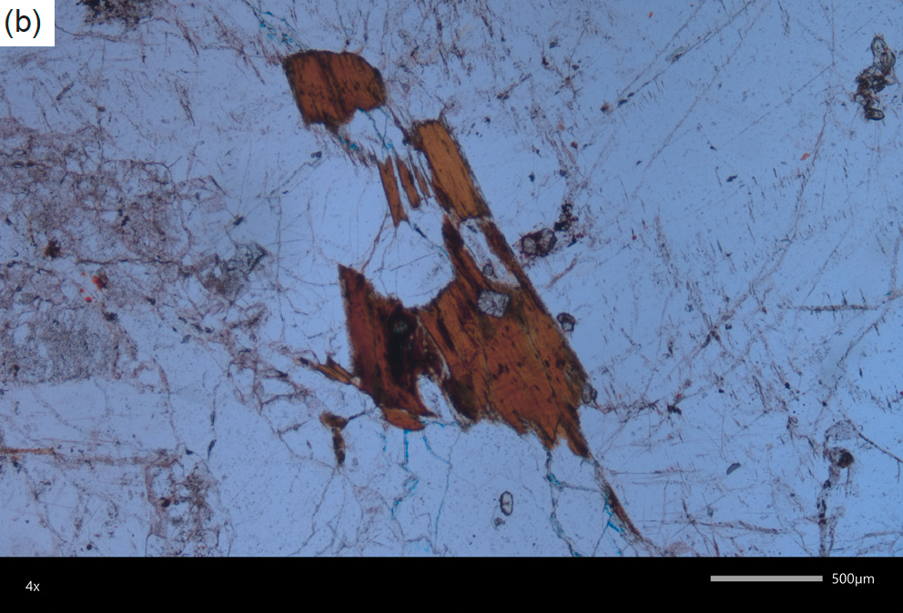 Figure 9b