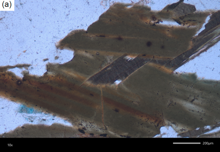 Figure 10a