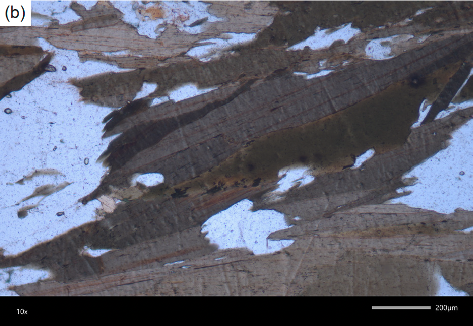 Figure 10b