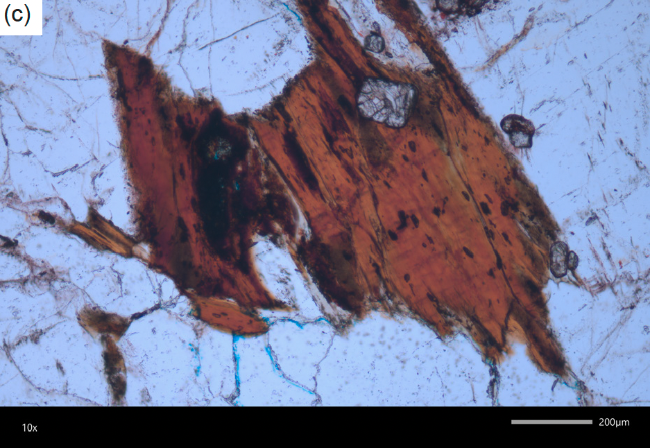 Figure 10c
