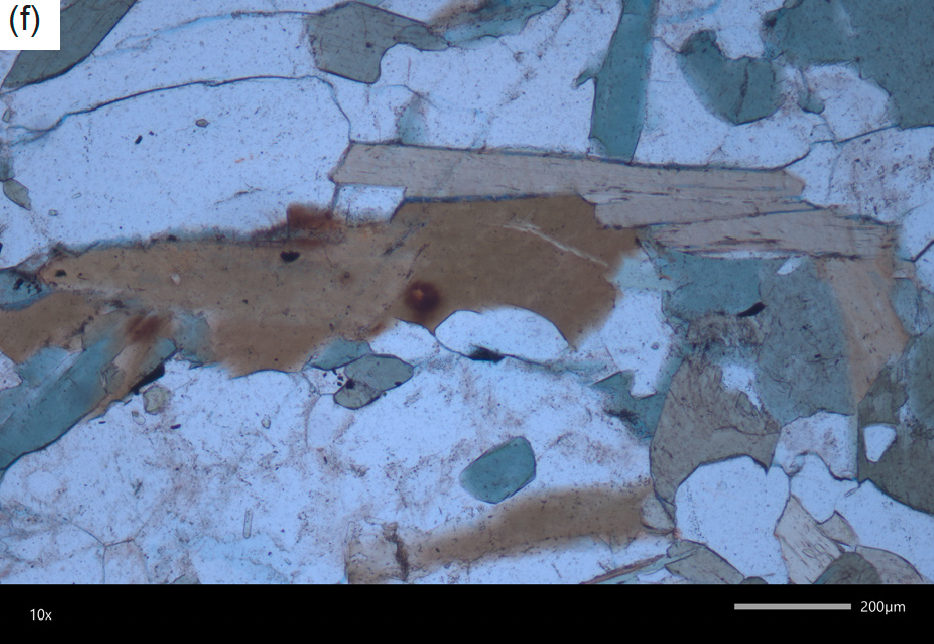 Figure 10f
