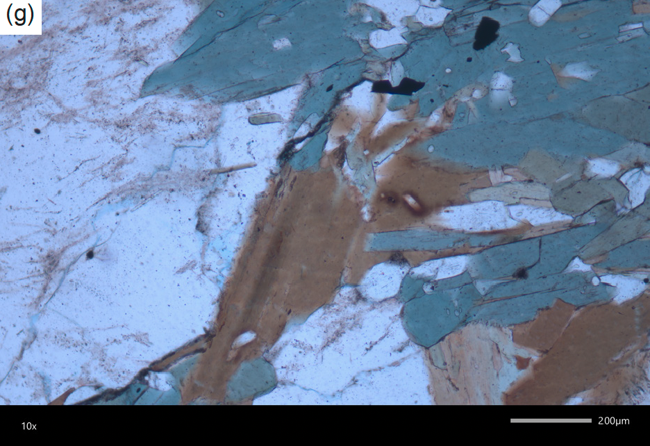 Figure 10g