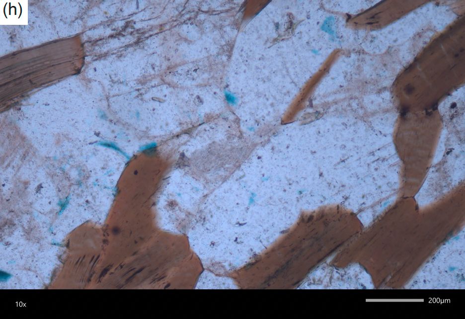 Figure 10h