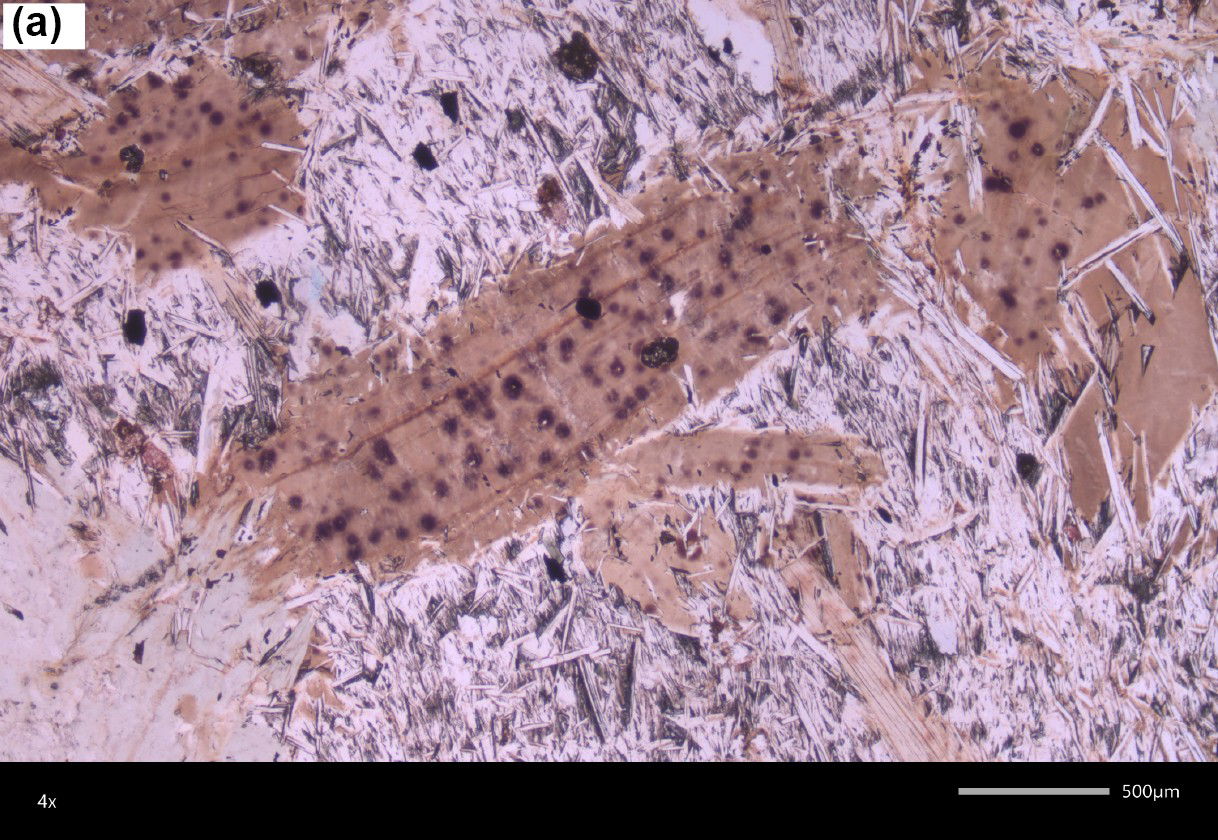 Figure 10a