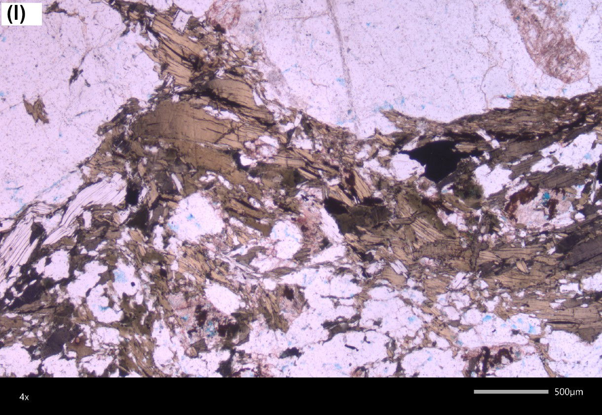 Figure 10l