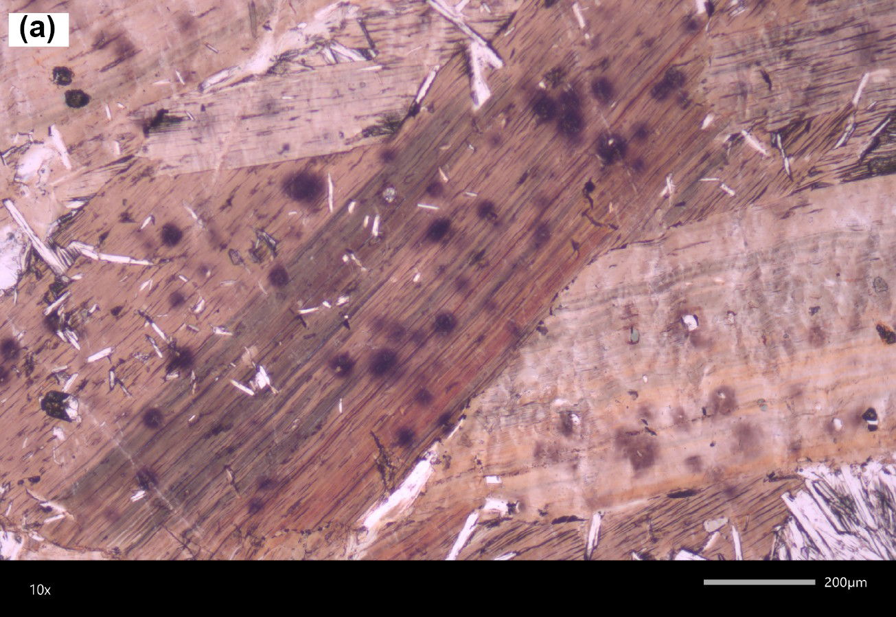 Figure 11a
