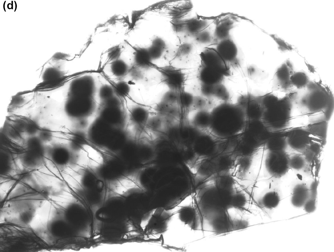Figure 11d