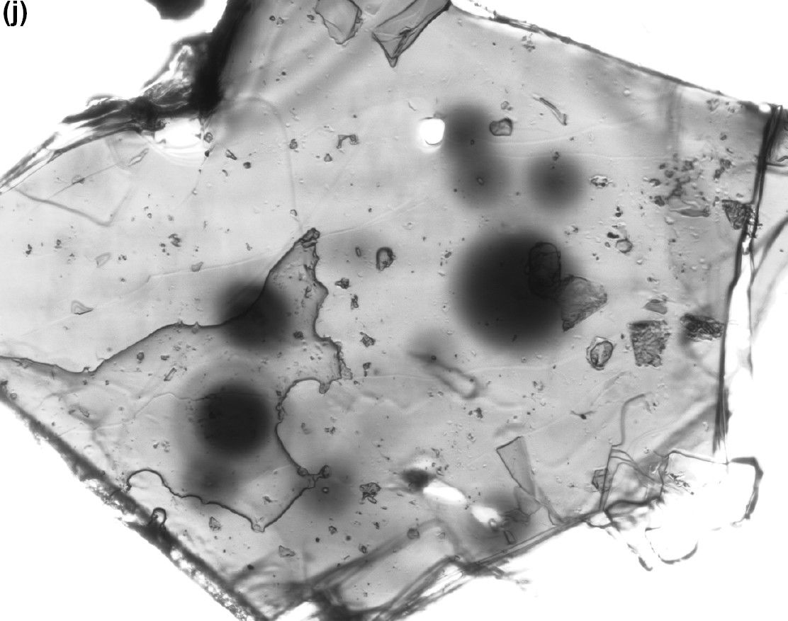 Figure 11j