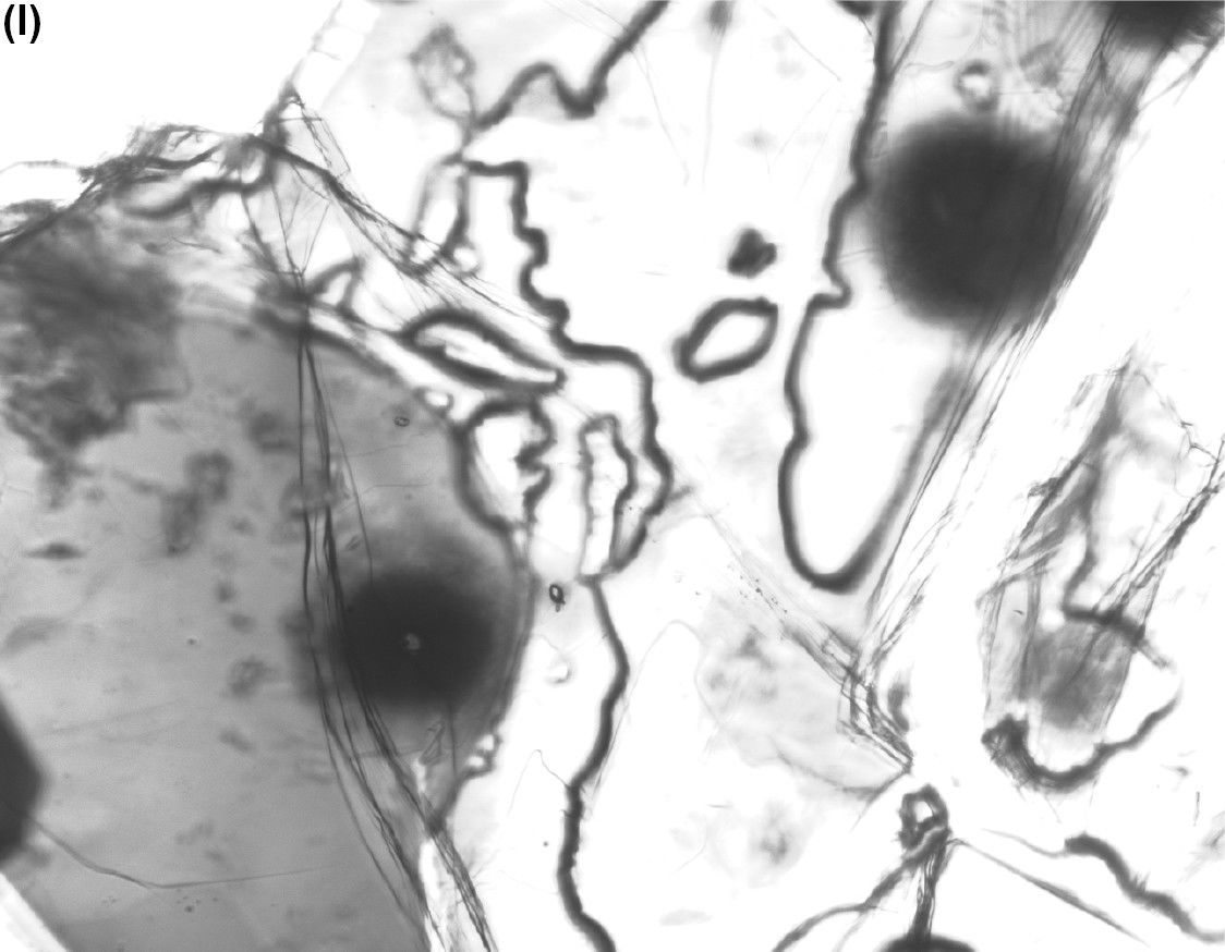 Figure 11l