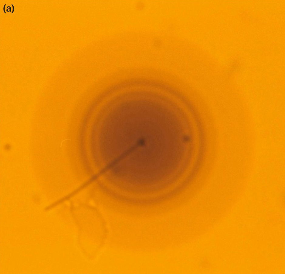 Figure 7a