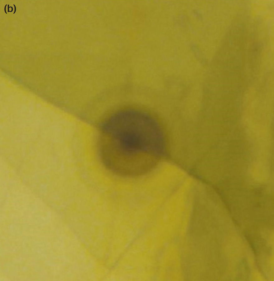 Figure 7b