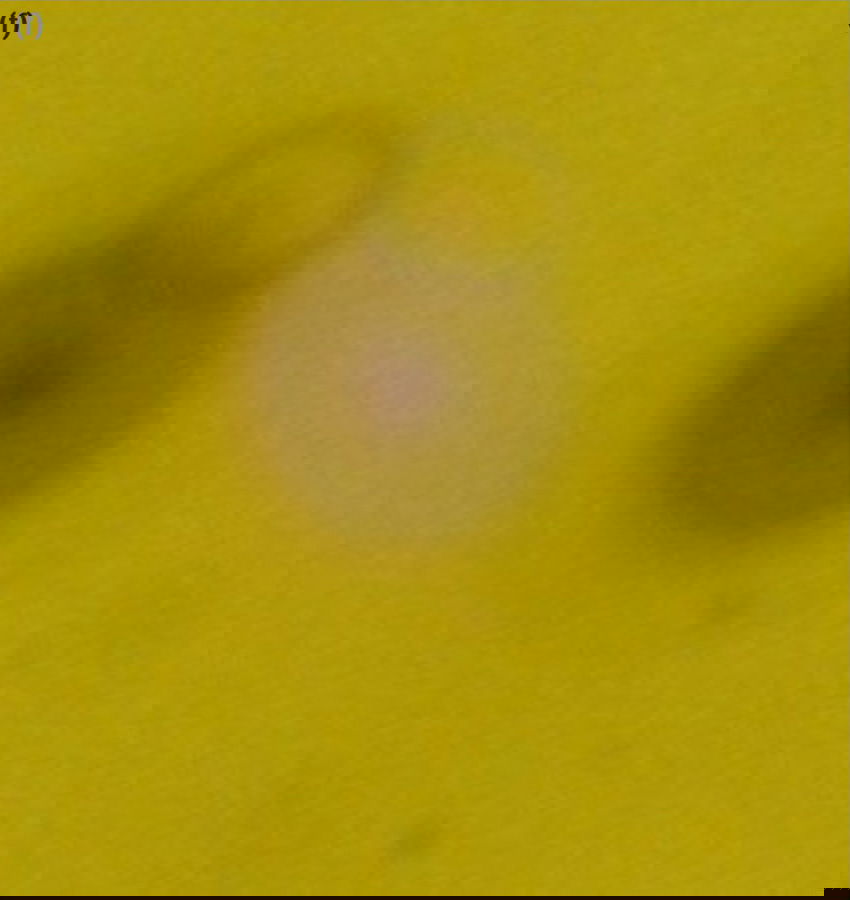 Figure 7f