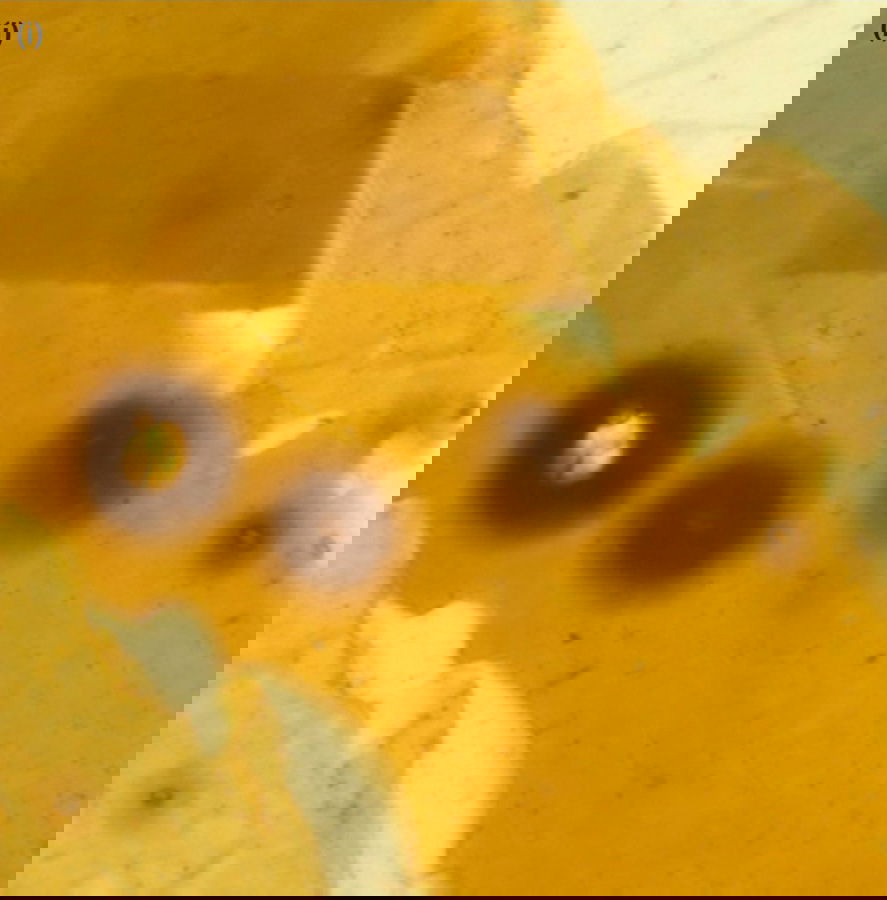 Figure 7i