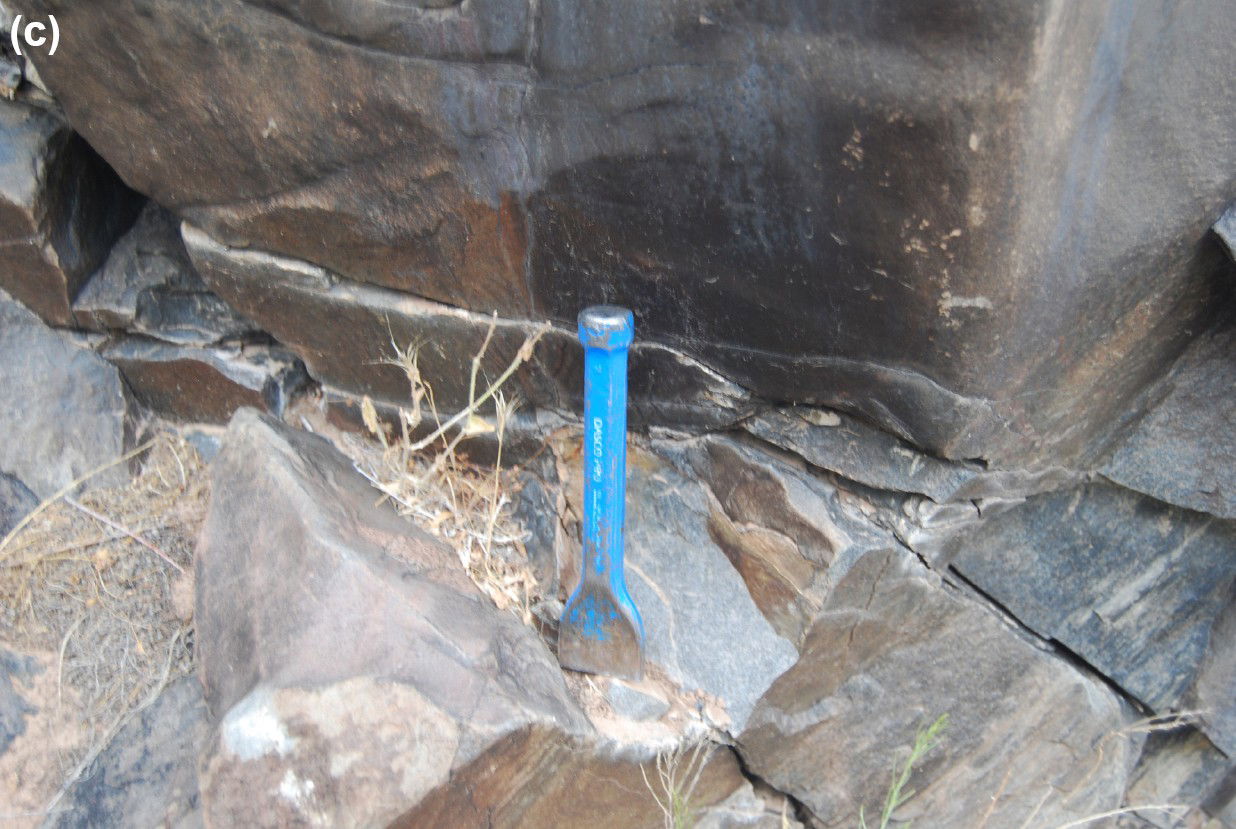 Figure 8c