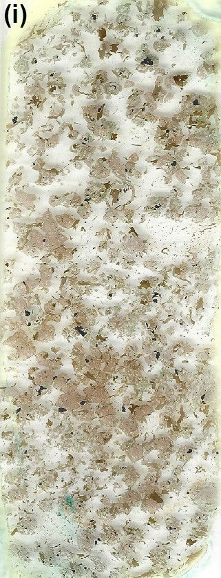 Figure 9i
