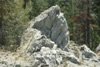 (h) Granodiorite of Kuna Crest, Porcupine Flat area
(sample RYG-23)