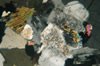 (h) Johnson Granite Porphyry (sample RYG-33):
K-feldspar, plagioclase, quartz, biotite, muscovite (secondary),
hornblende