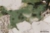 (f) Johnson Granite Porphyry (sample RYG-33)