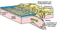 Subduction of an oceanic plate (Pacific plate) during convergence
with a continental plate (North American plate)