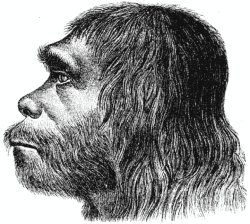 Neanderthal Man