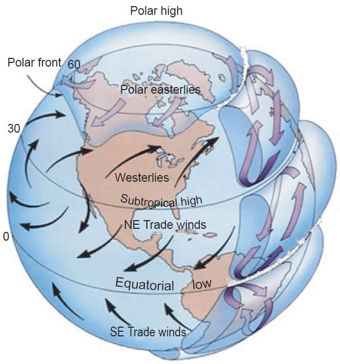 Global atmospheric circulation